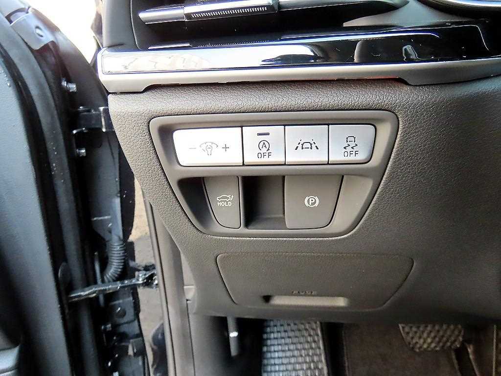 Genesis G80 - Vista 12