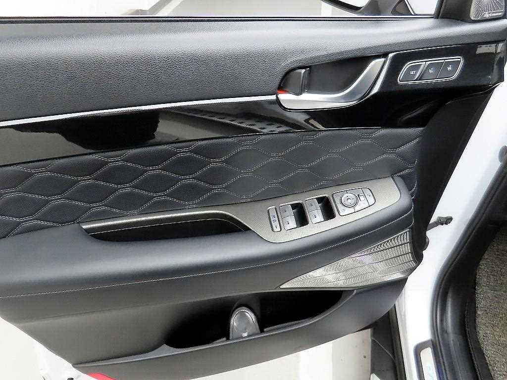 HYUNDAI Palisade - Vista 11