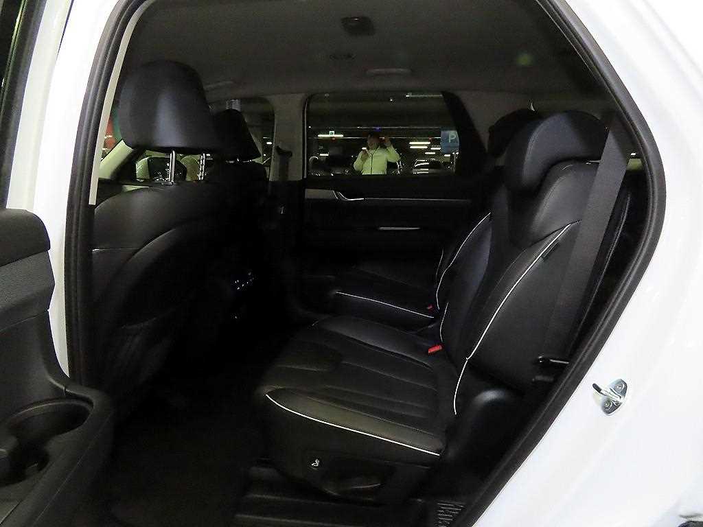 HYUNDAI Palisade - Vista 7