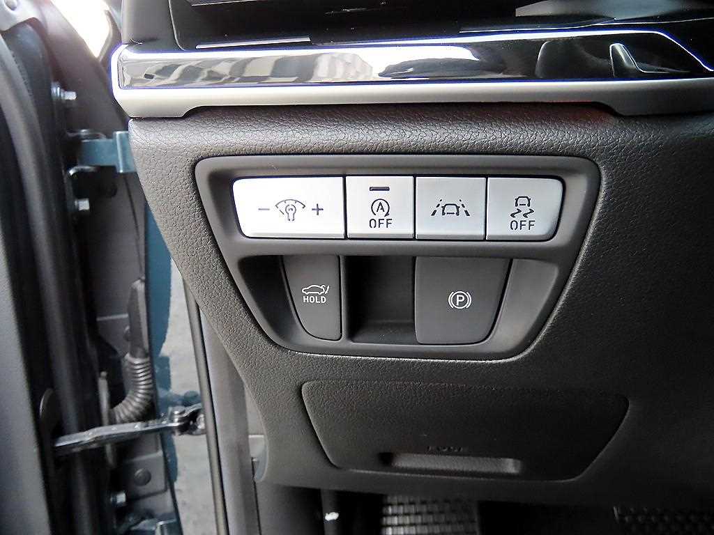 Genesis G80 - Vista 12