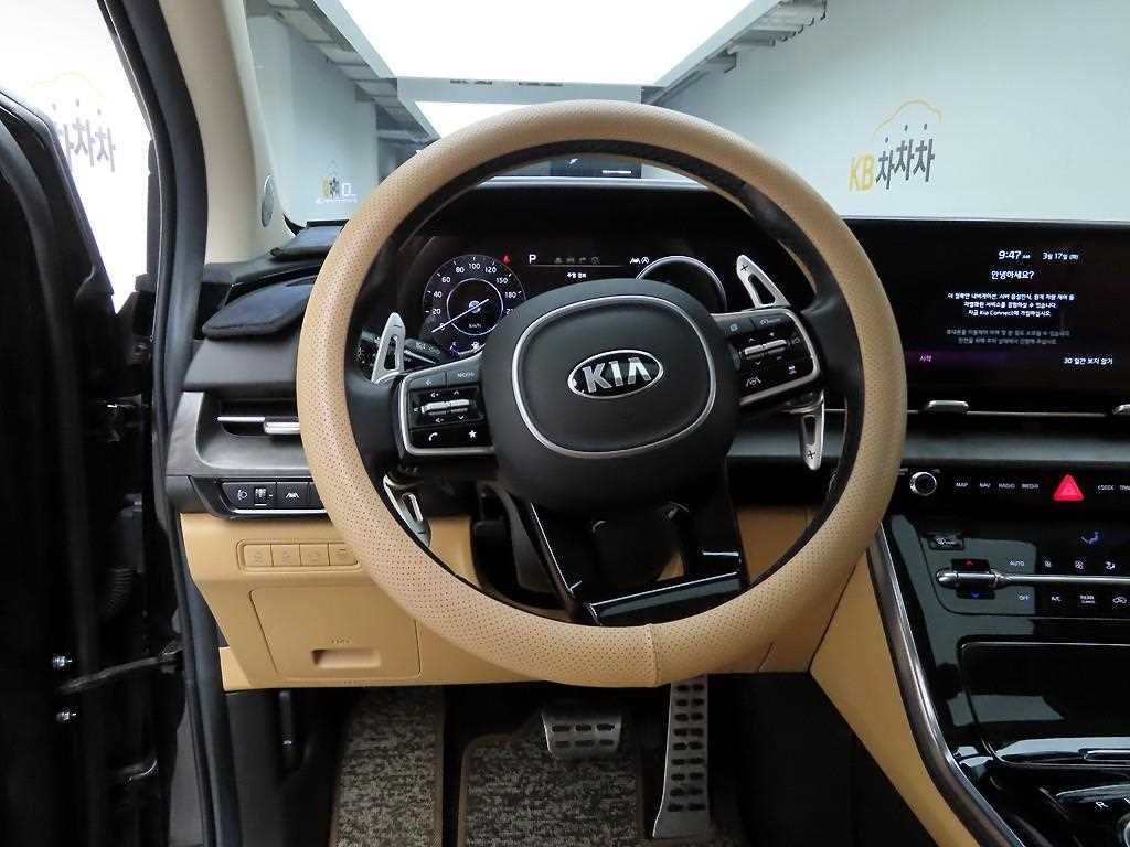 KIA Carnival - Vista 7