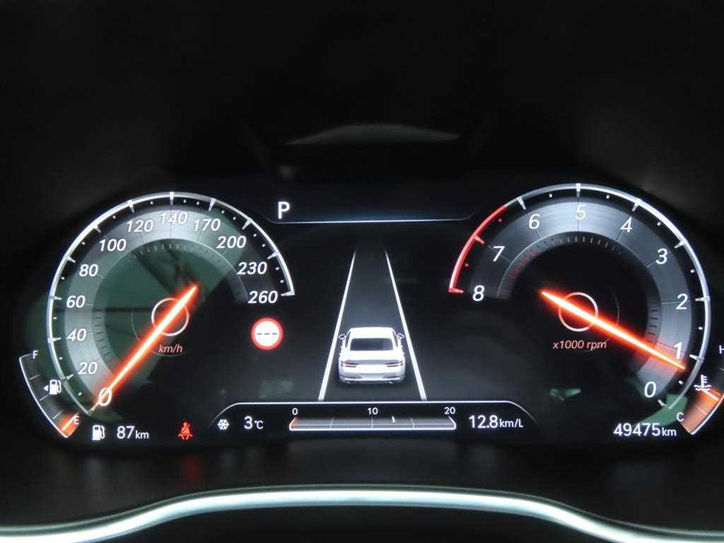 Genesis G80 - Vista 9