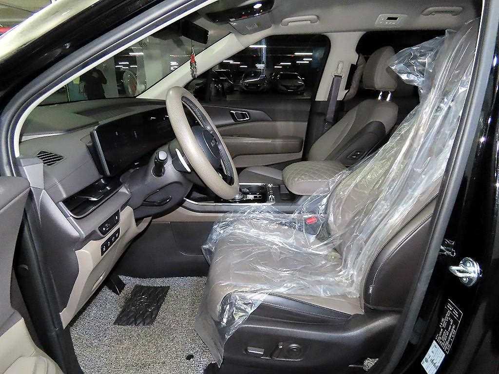 KIA Carnival - Vista 6