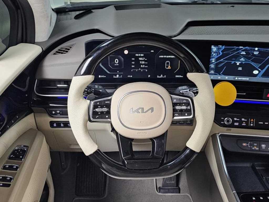 KIA Carnival - Vista 11