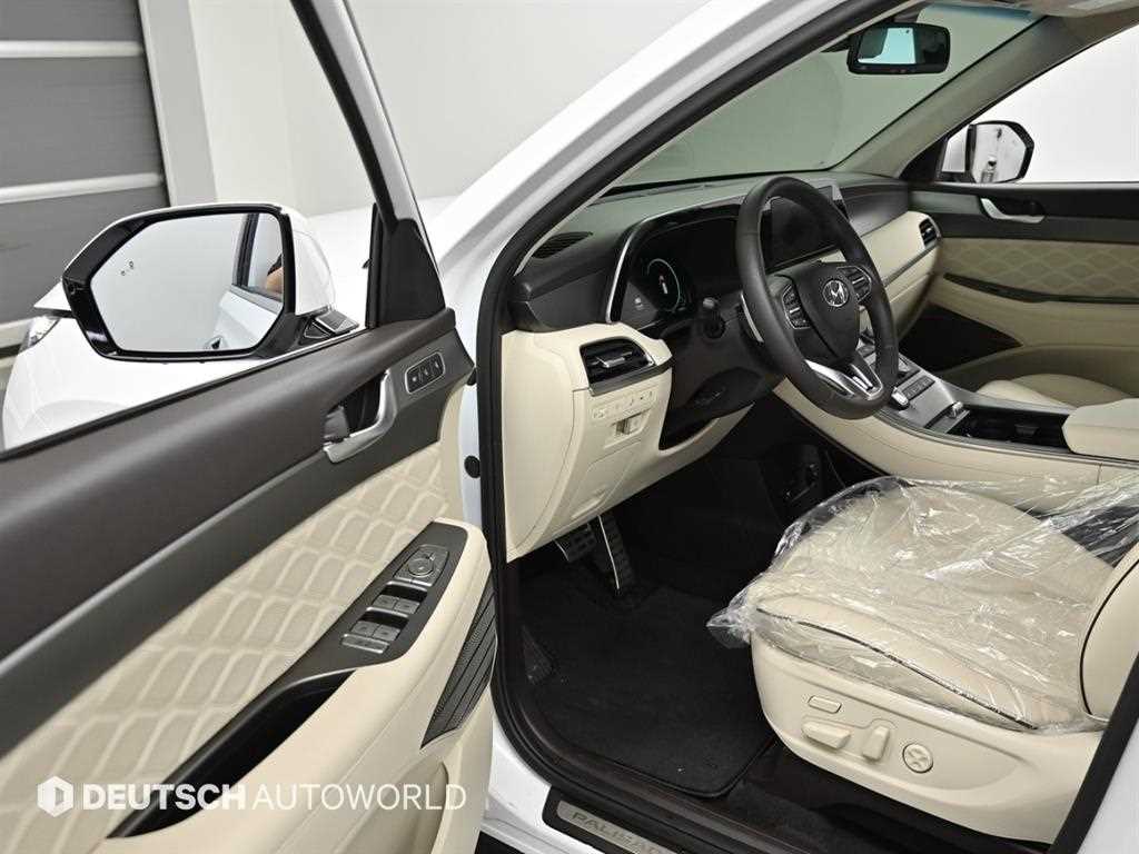 HYUNDAI Palisade - Vista 11