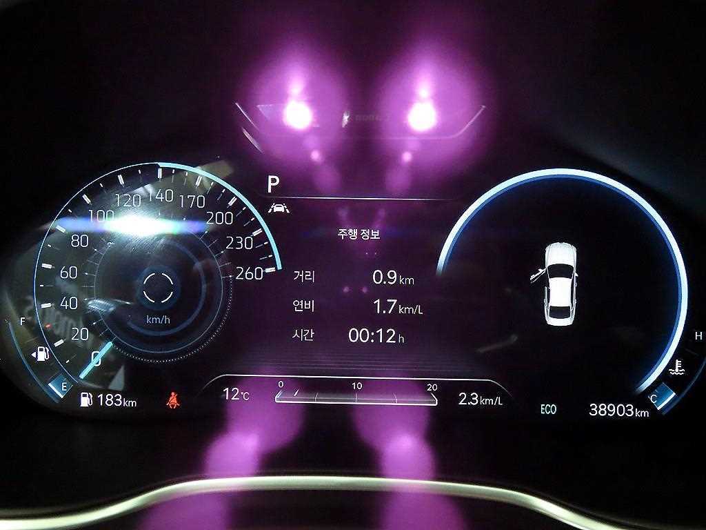 Genesis G80 - Vista 9