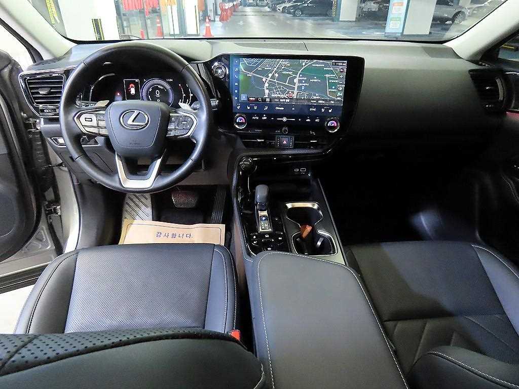 Lexus NX - Vista 10