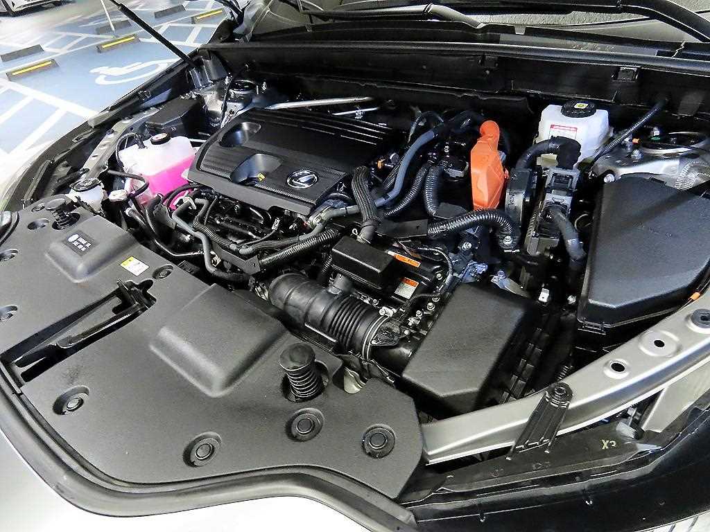 Lexus NX 2023 Gris - Importación desde Corea - HF Imports Iquique - Foto 19