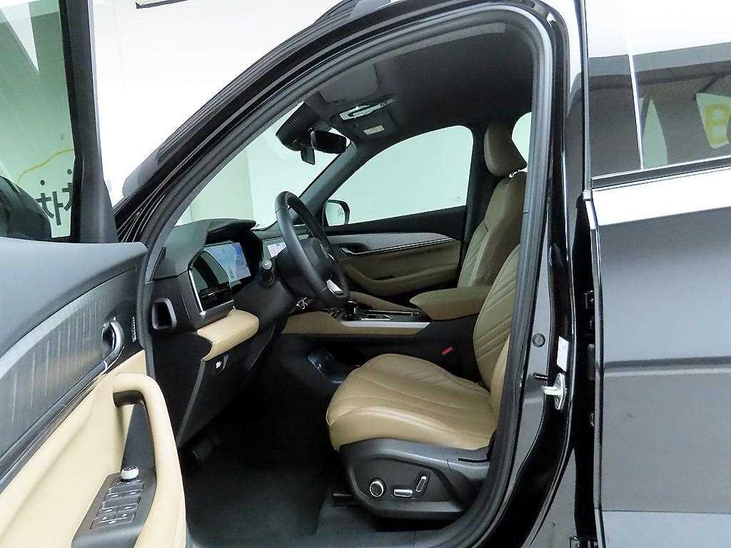 SAMSUNG Grand Koleos - Vista 12