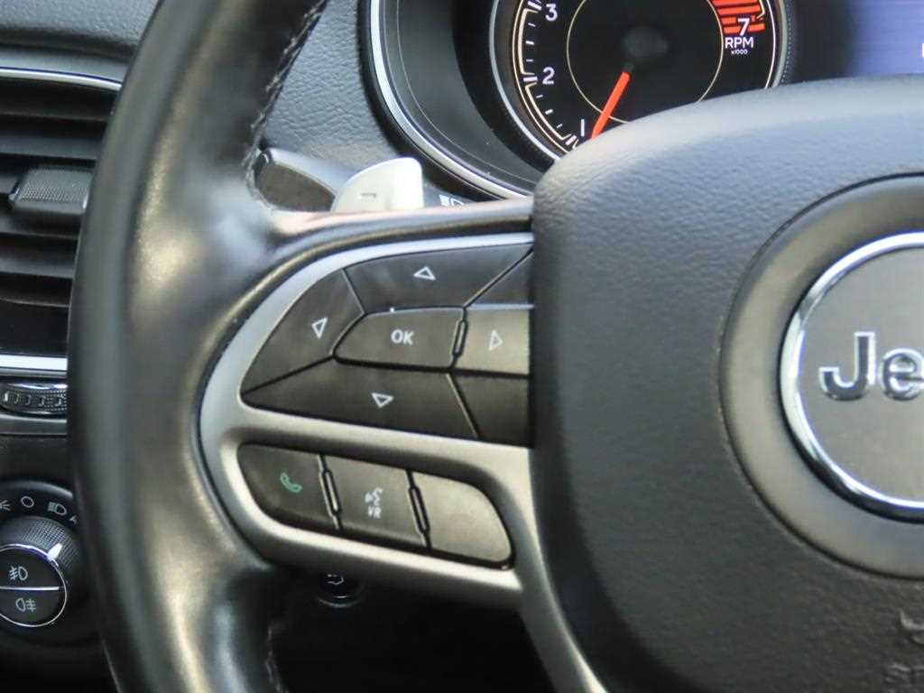 Jeep Cherokee - Vista 11