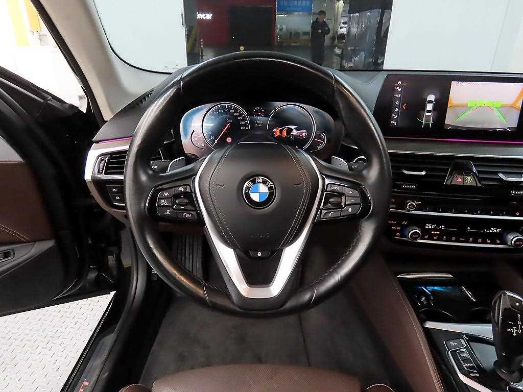 BMW 5 Series - Vista 9