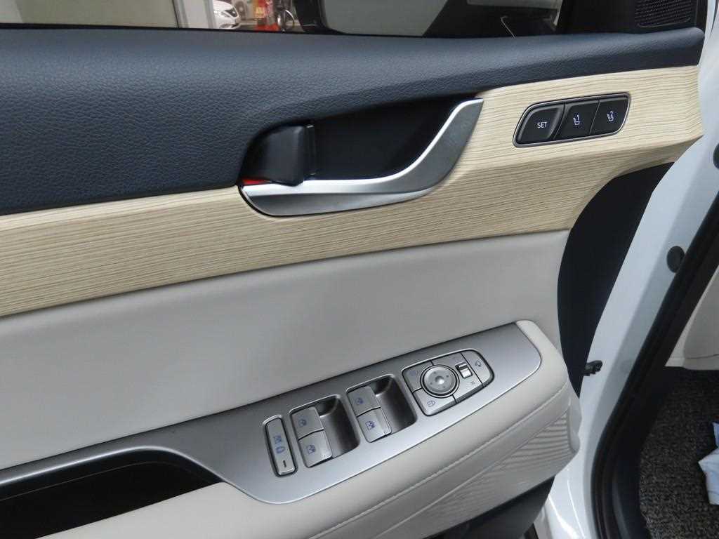 HYUNDAI Palisade - Vista 9