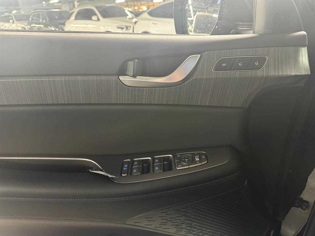 HYUNDAI Palisade - Vista 9