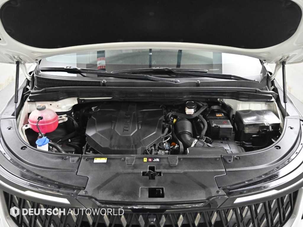 KIA Carnival - Vista 6