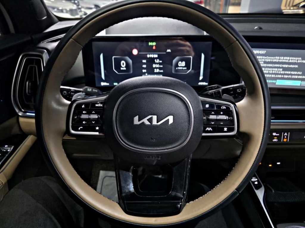 KIA Sorento - Vista 12