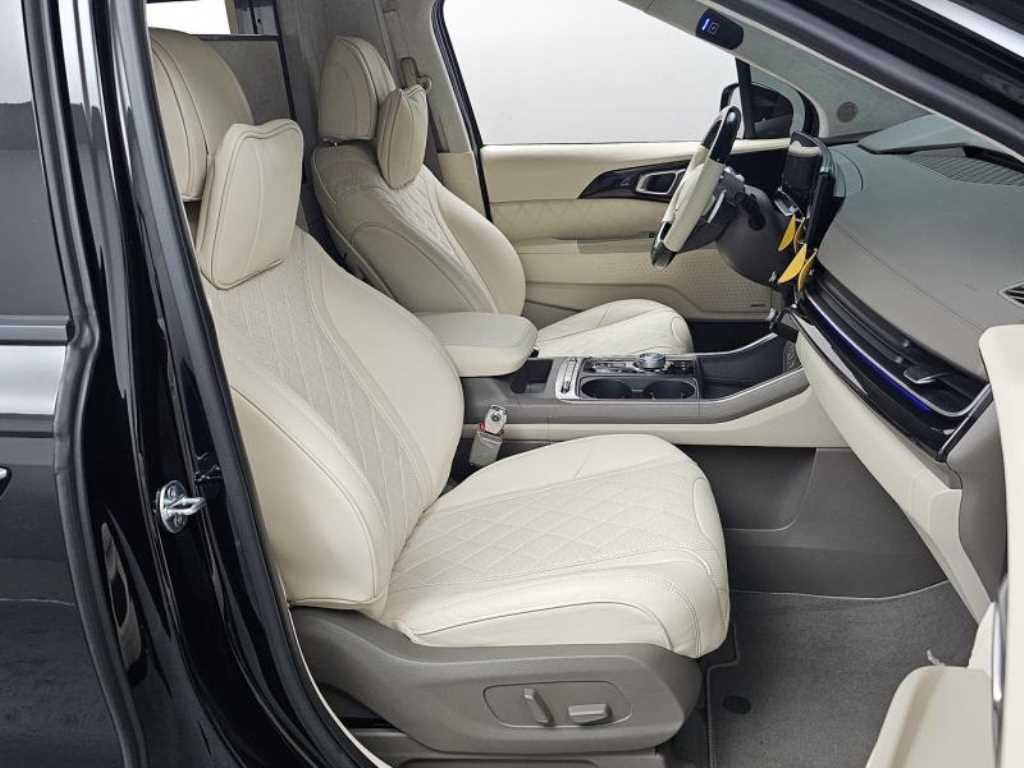 KIA Carnival - Vista 8