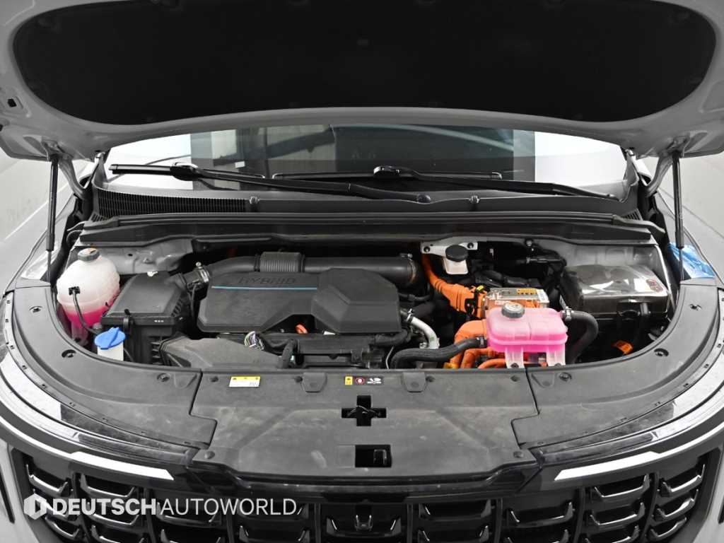 KIA Carnival - Vista 6