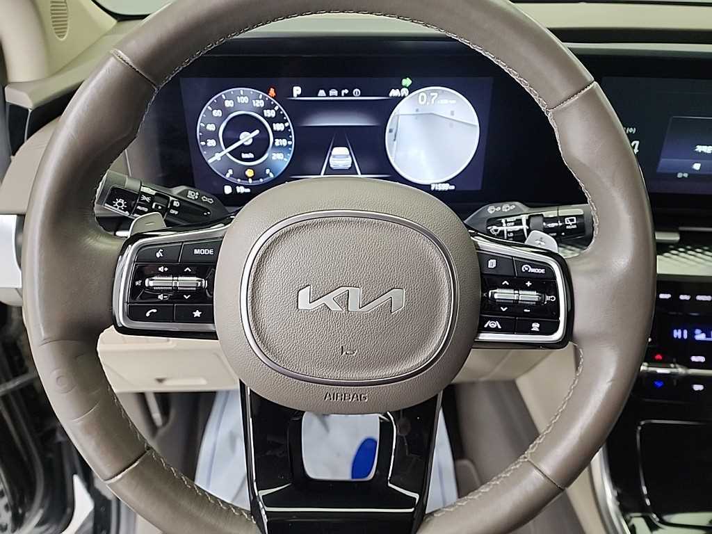 KIA Carnival - Vista 9