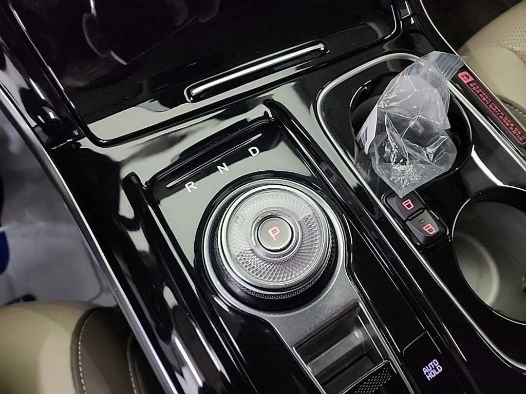 KIA Carnival - Vista 8