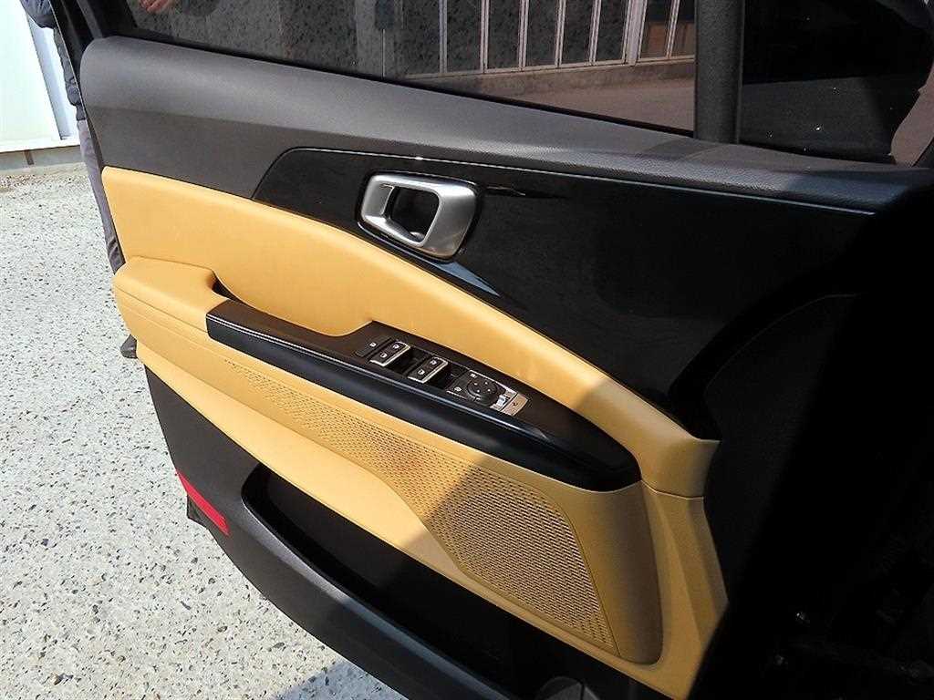 KIA Carnival - Vista 12