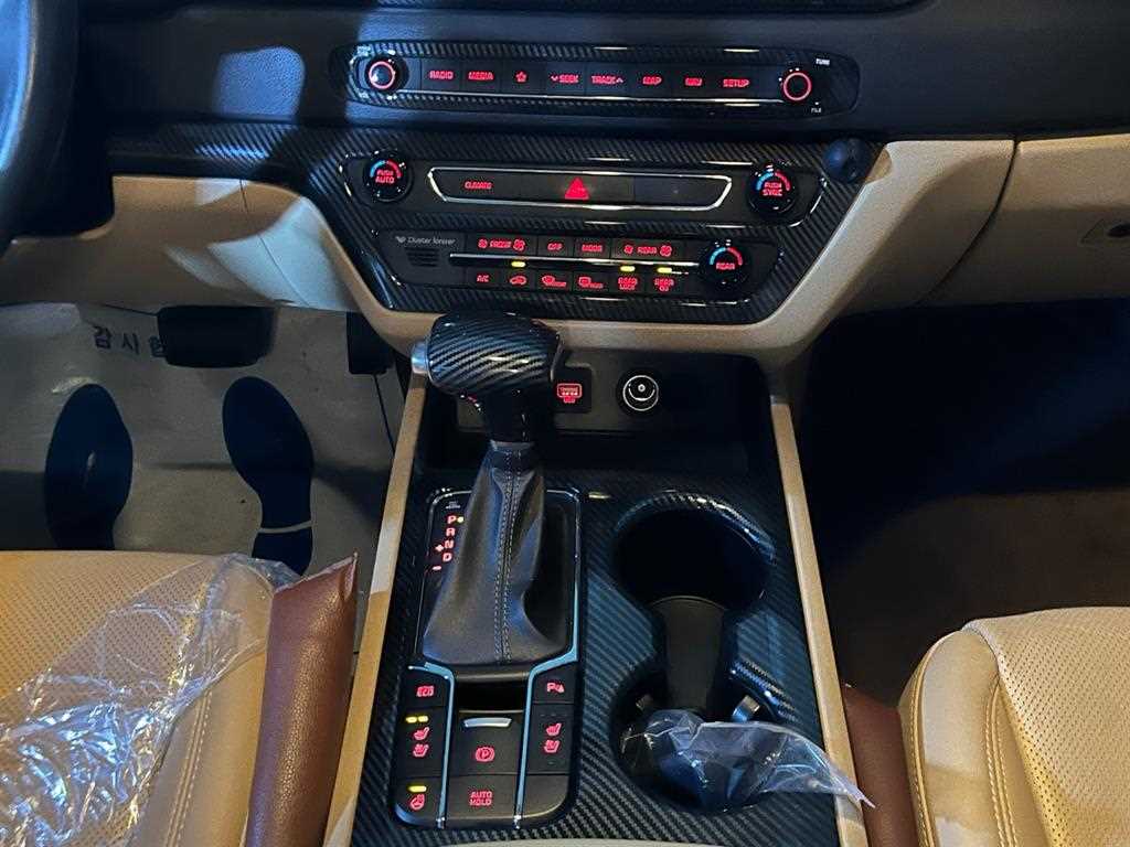 KIA Carnival - Vista 12