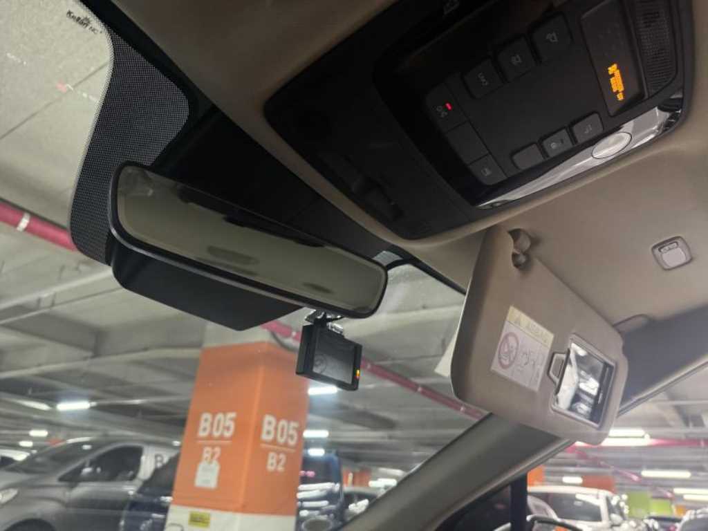 KIA Carnival - Vista 9