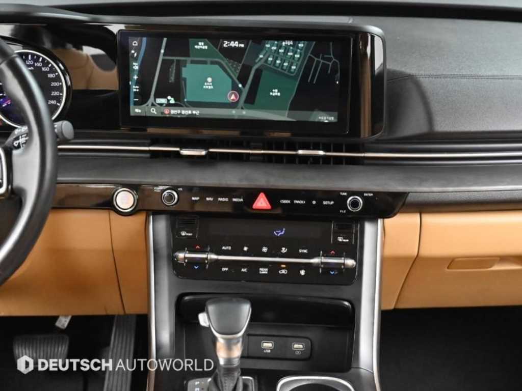 KIA Carnival - Vista 8