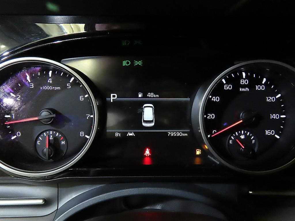 KIA Carnival - Vista 9