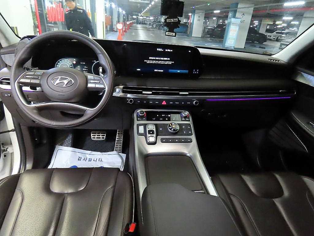 HYUNDAI Palisade - Vista 10