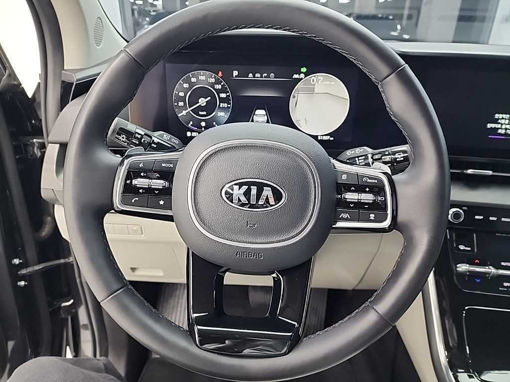 KIA Carnival - Vista 9