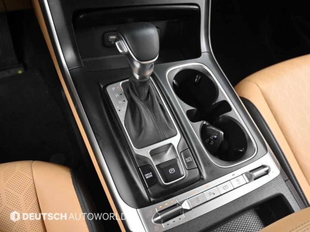 KIA Carnival - Vista 12