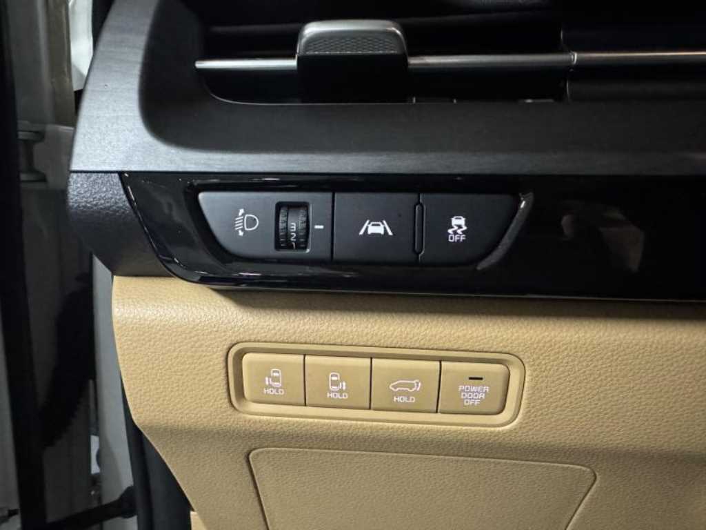 KIA Carnival - Vista 12