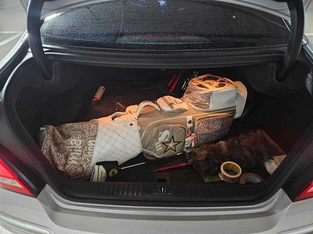 HYUNDAI Equus 2010 Plateado - Importación desde Corea - HF Imports Iquique - Foto 17