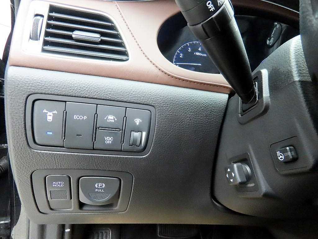 HYUNDAI Genesis - Vista 12