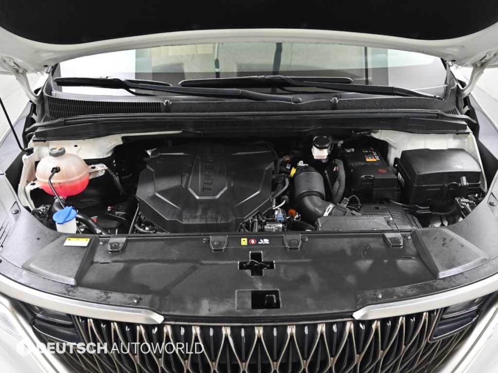 KIA Carnival - Vista 6