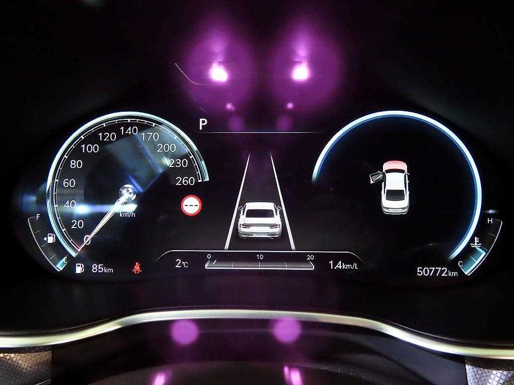 Genesis G80 - Vista 9