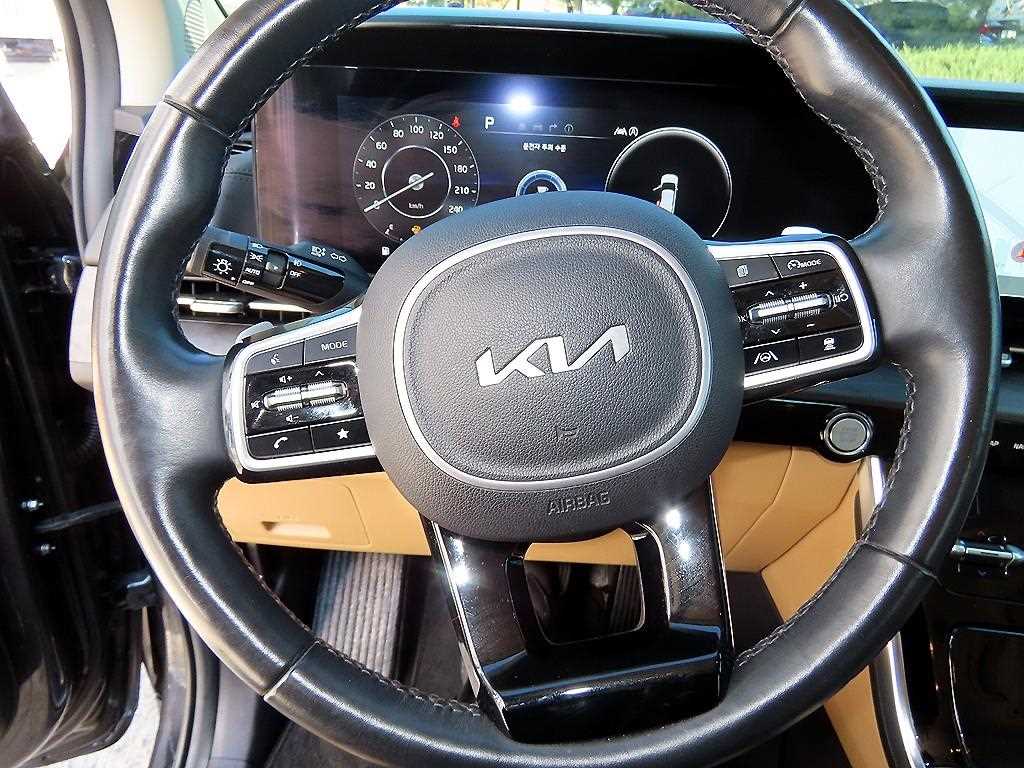 KIA Carnival - Vista 9