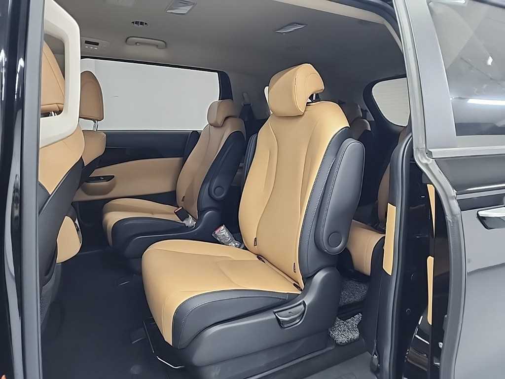 KIA Carnival - Vista 12