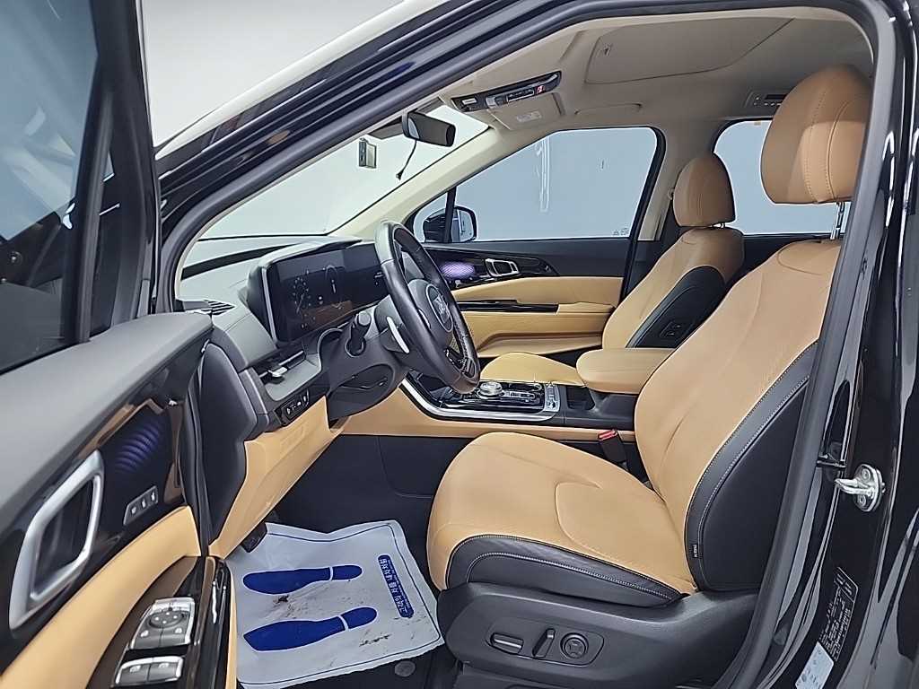 KIA Carnival - Vista 11