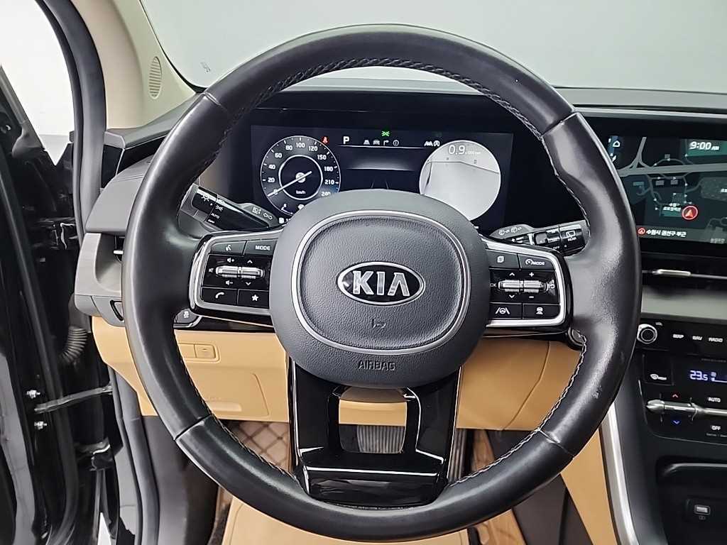 KIA Carnival - Vista 9