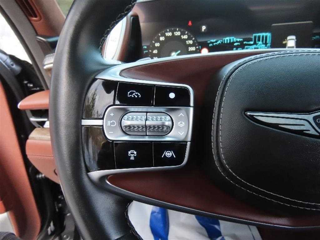 Genesis G90 - Vista 11