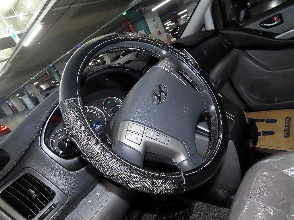 HYUNDAI Starex - Vista 8