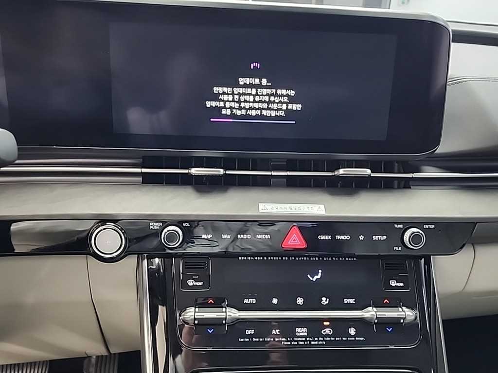 KIA Carnival - Vista 10