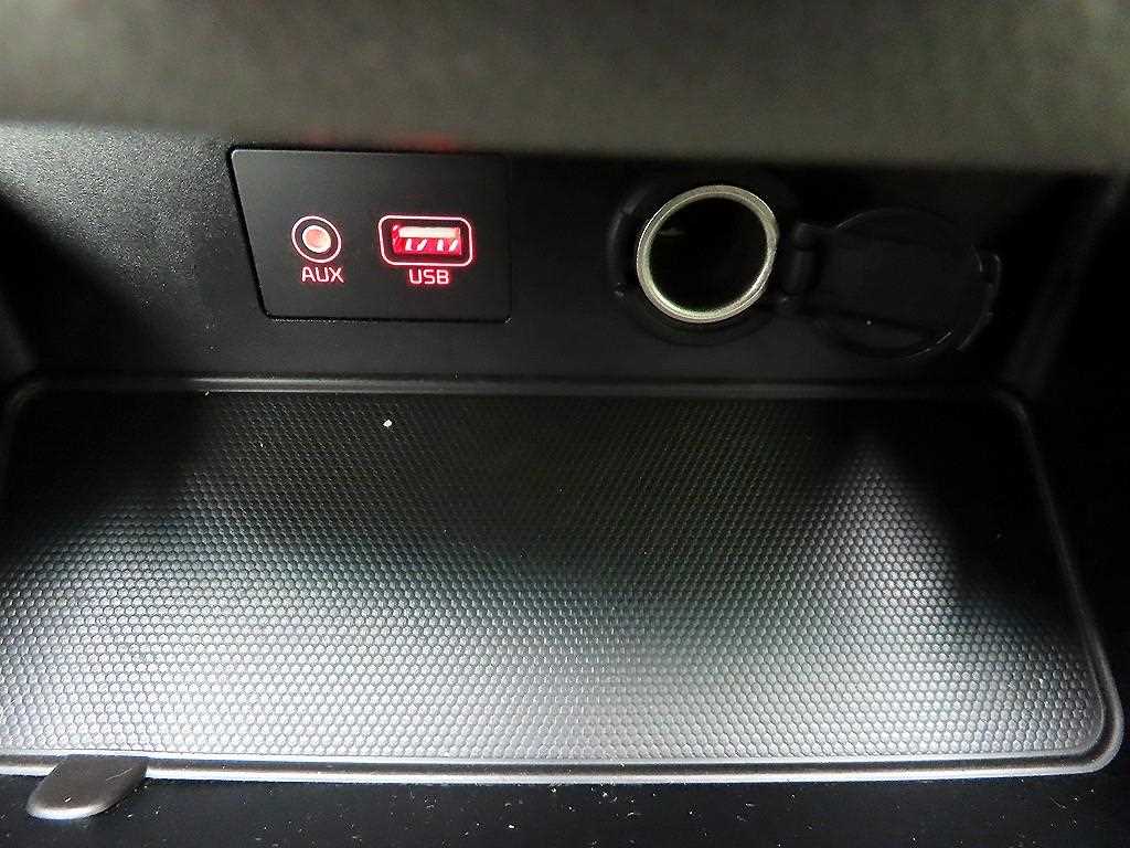 KIA Carnival - Vista 12