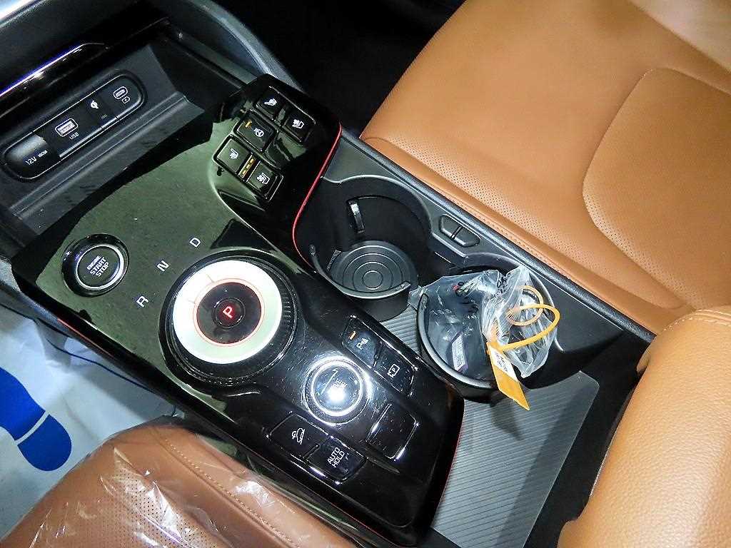 KIA Sportage - Vista 12