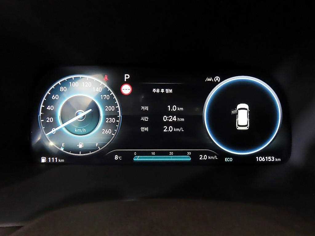 HYUNDAI Palisade - Vista 9