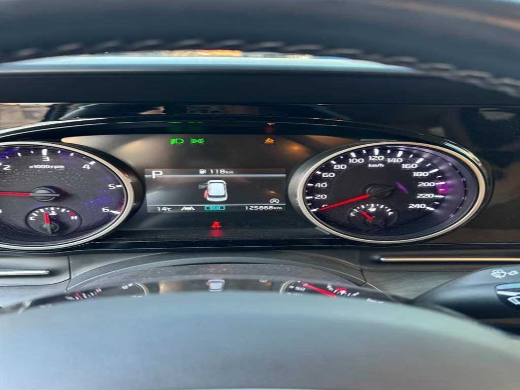 KIA Carnival - Vista 8