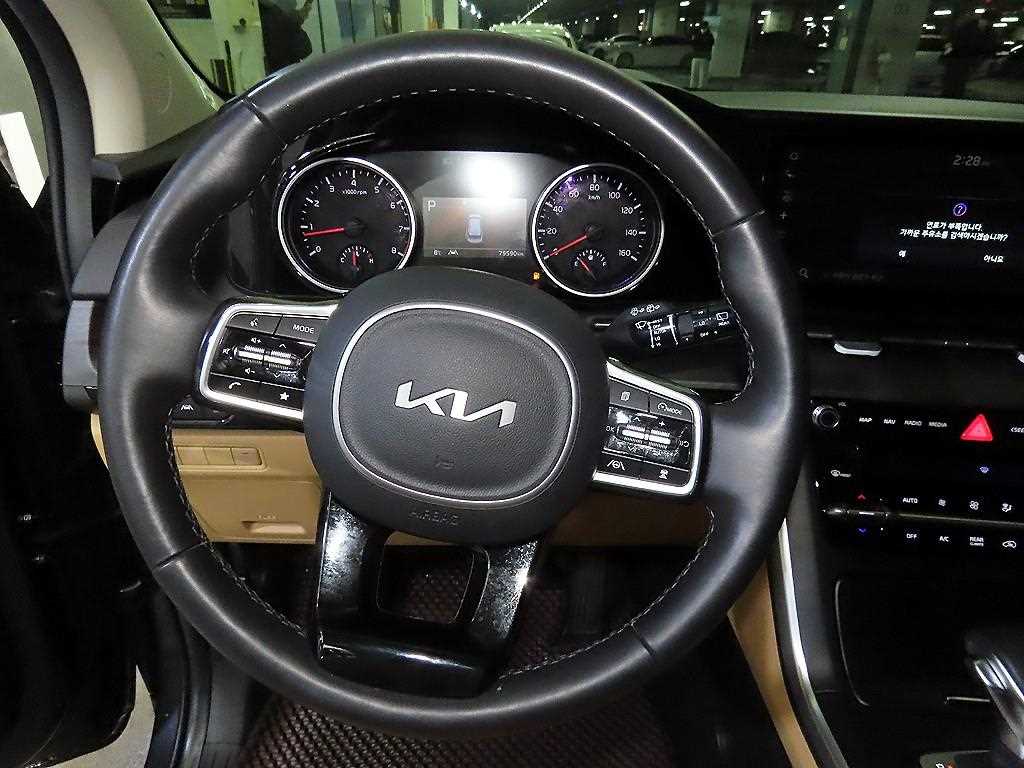 KIA Carnival - Vista 8