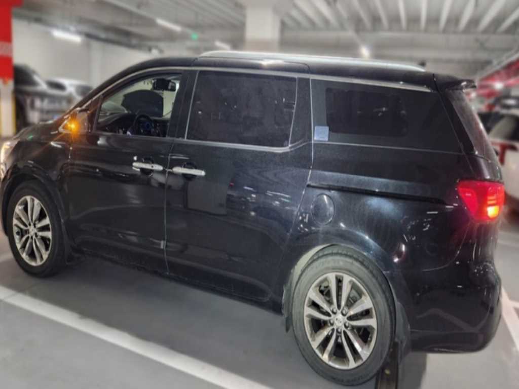 KIA Carnival - Vista 5