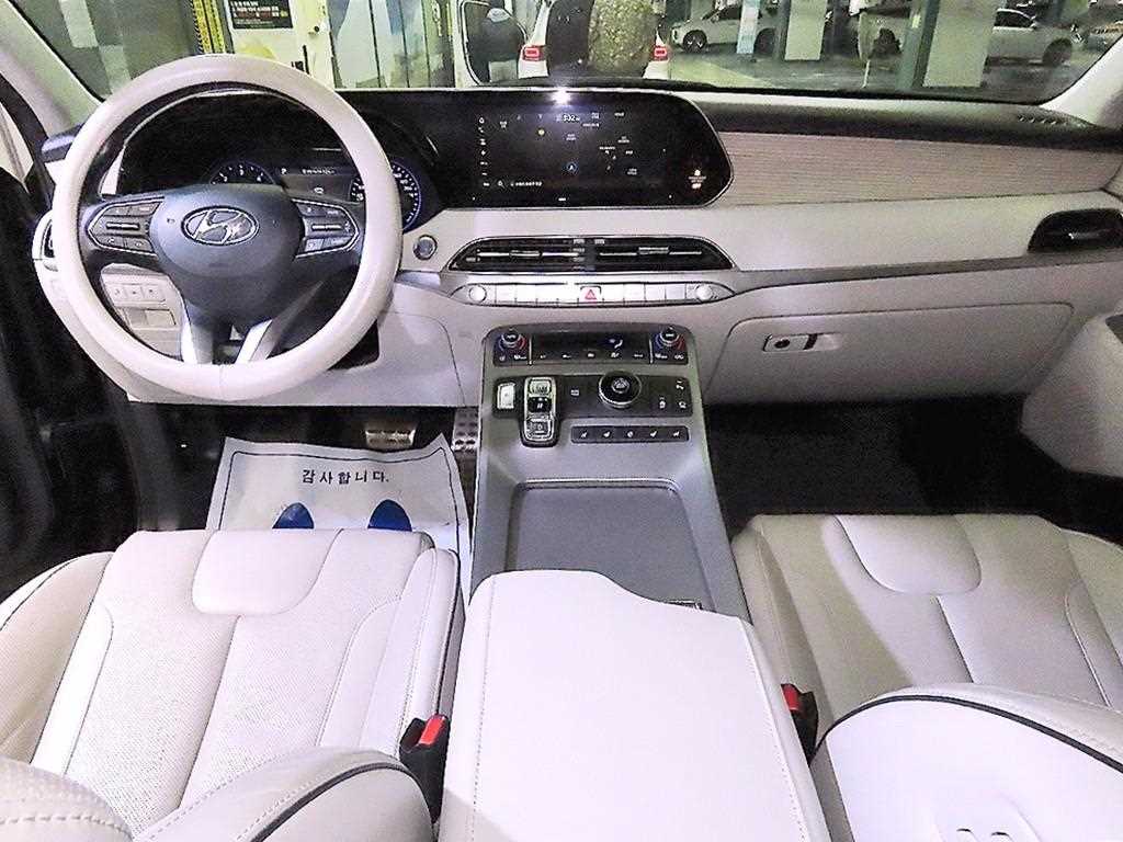 HYUNDAI Palisade - Vista 10